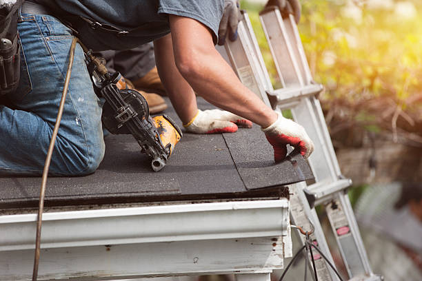Best Roof Gutter Cleaning  in Bellerose Terrace, NY